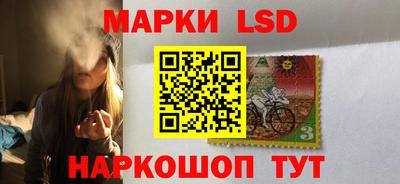 дживик Новозыбков