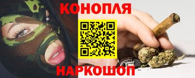 дживик Новозыбков