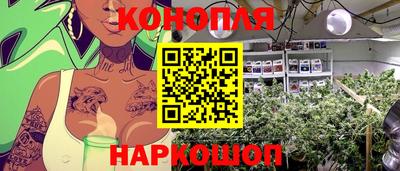 эйфоретик Новодвинск