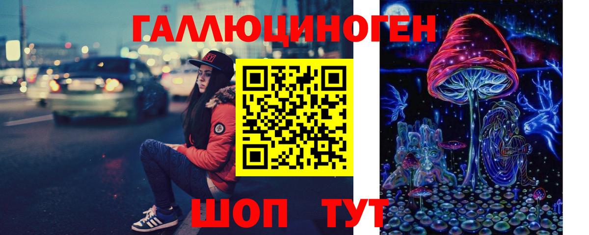 Галлюциногенные грибы Psilocybine cubensis Сарапул